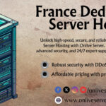 Onlive Server Rolls Out Premium 10 Gbps France Dedicated Server Plans w